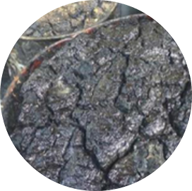 Oil Sludge